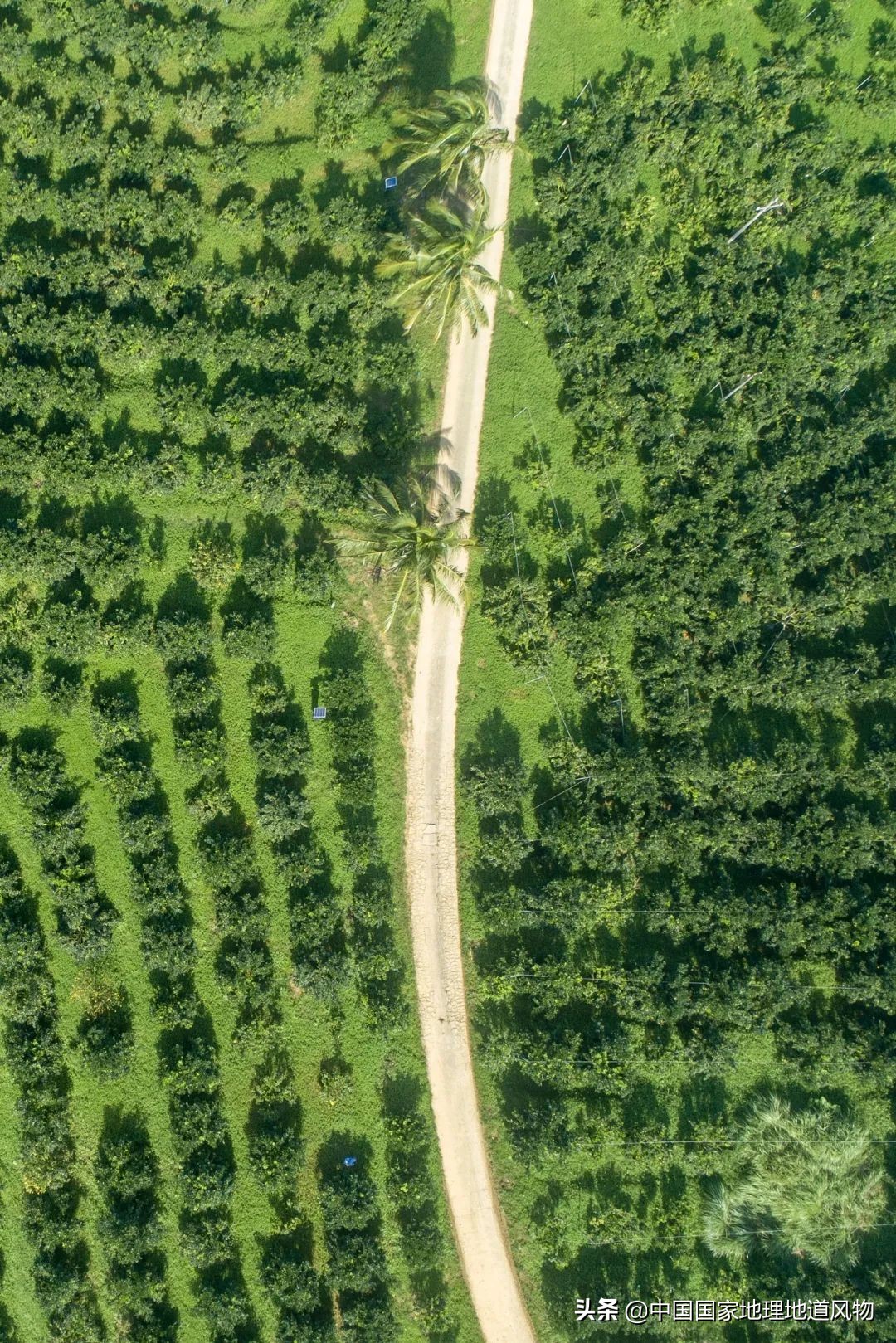 江西vs湖南哪个更能吃辣,江西和湖南pk辣椒