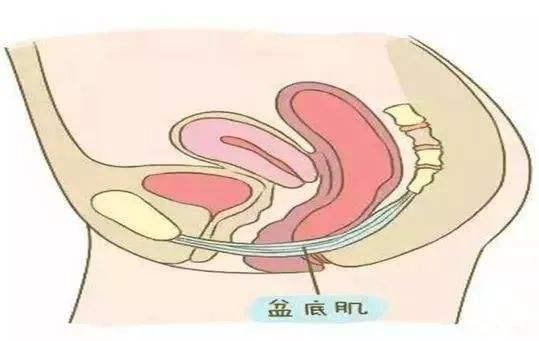 怎样才能测试自己便秘了多久,肛肠科医生教通过运动解决便秘