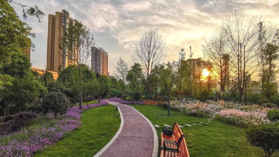 彭山竹韵廊在什么地方,彭山区竹韵廊公园航拍