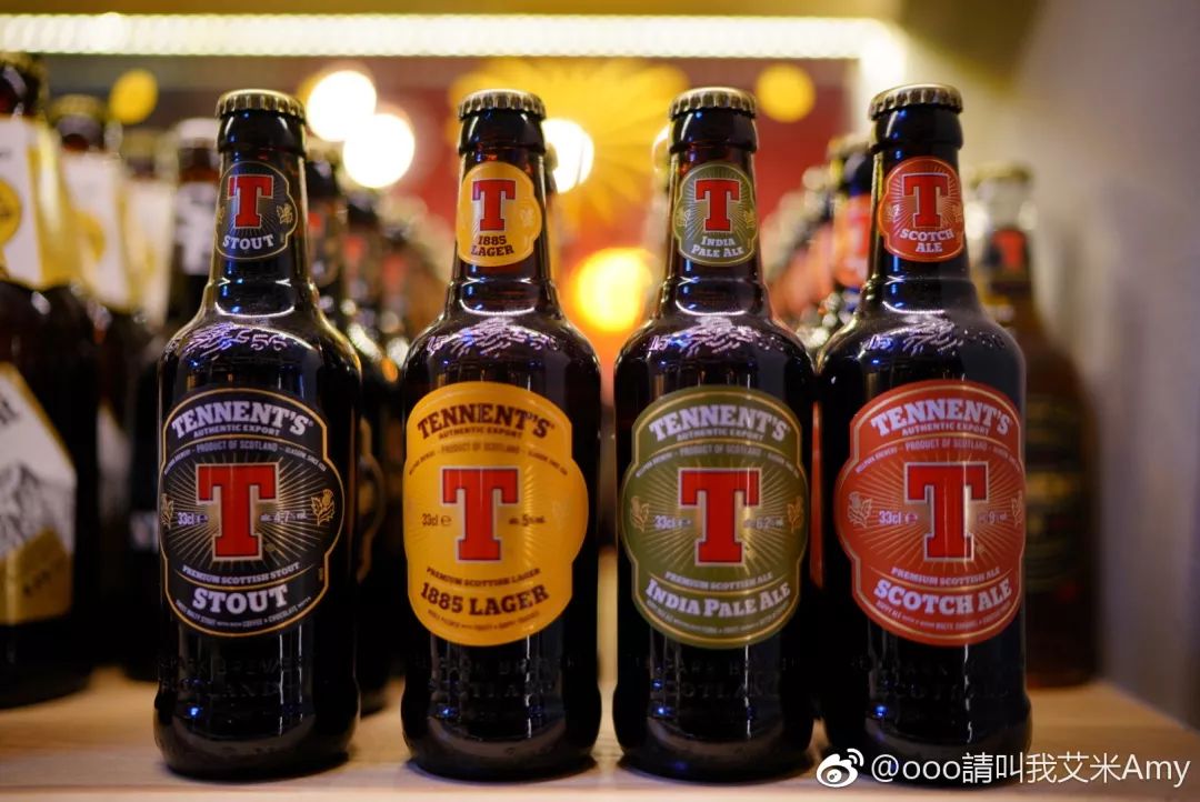 单身狗保护条例,单身狗防伤害地图指南