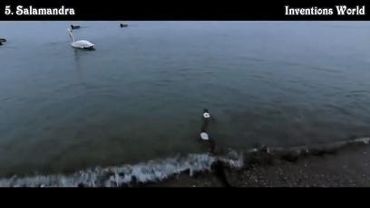 收藏！国外的这五款机器人，看了之后对你有没有什么启发呢？