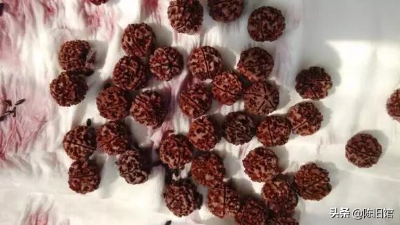 够狠！把红润的金刚砸了