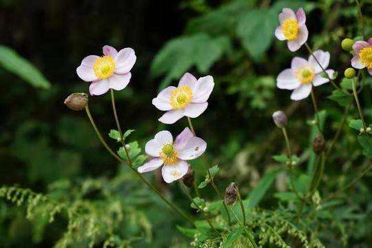 打破碗有什么症状,打破碗治什么病