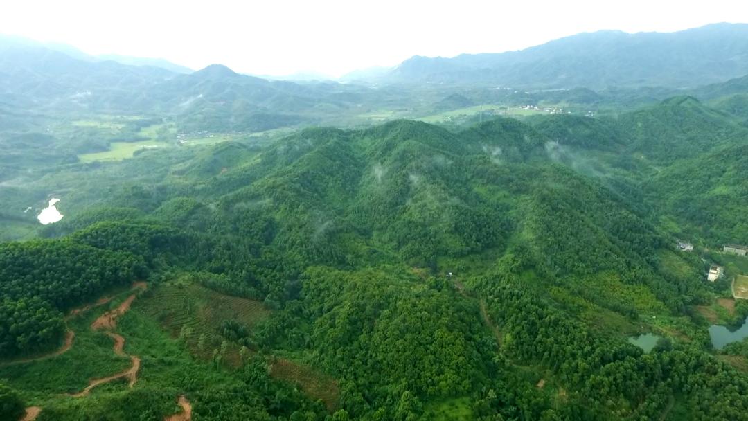 恩平两日游,长假不拥挤的城市