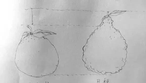 蒲江春见耙耙柑不知火丑柑,春见耙耙柑和耙耙柑有什么区别