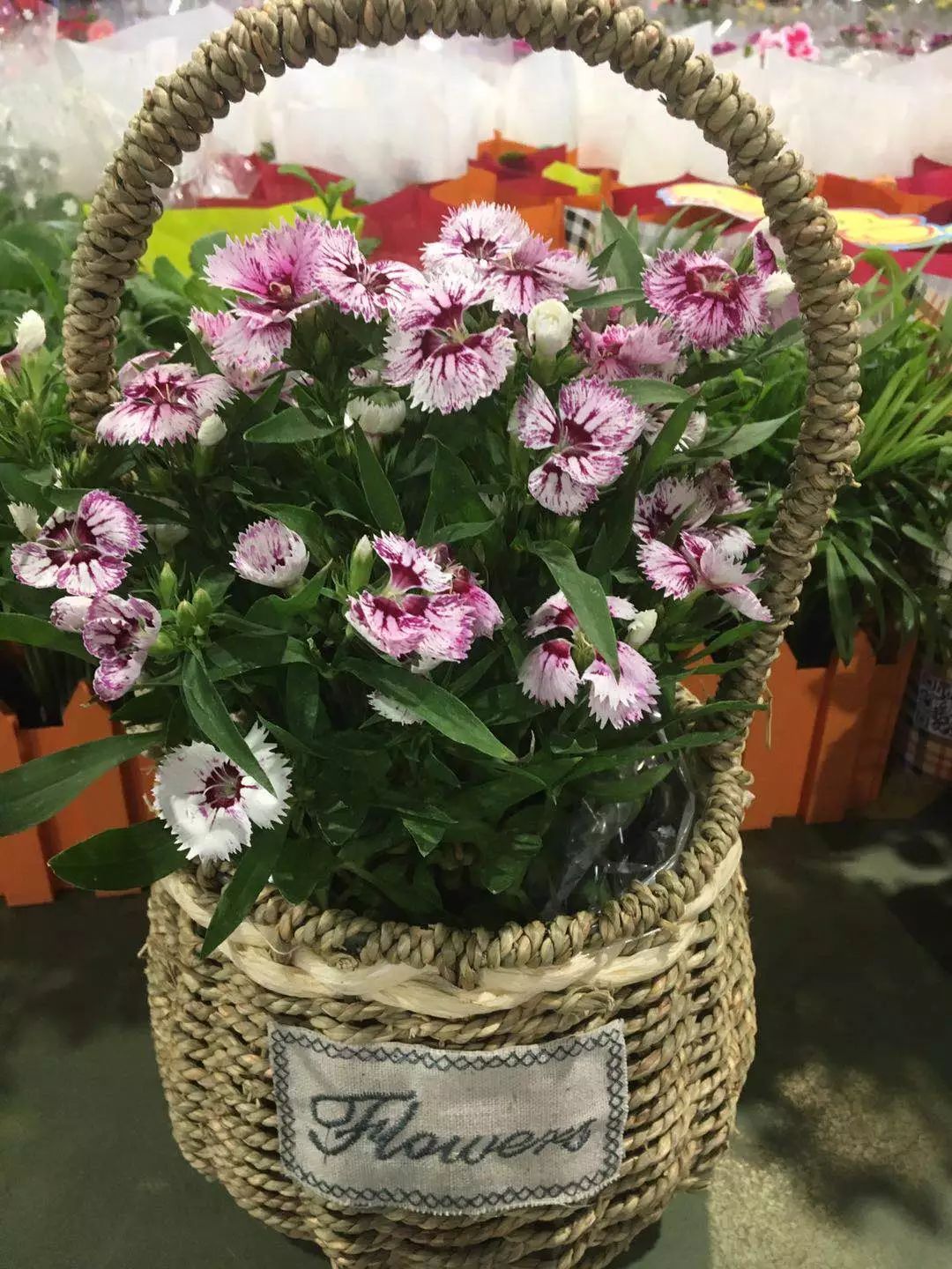 大连网上买花哪个平台好,大连买花到哪里