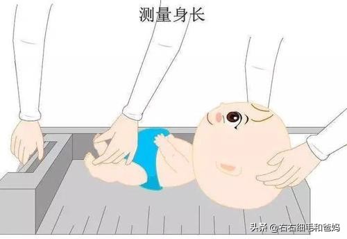 1岁宝宝身高增长快慢,卫生部身高体重标准成人