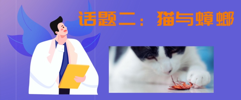 猫能把家里蟑螂抓完吗,家里有猫怎么预防蟑螂最有效方法