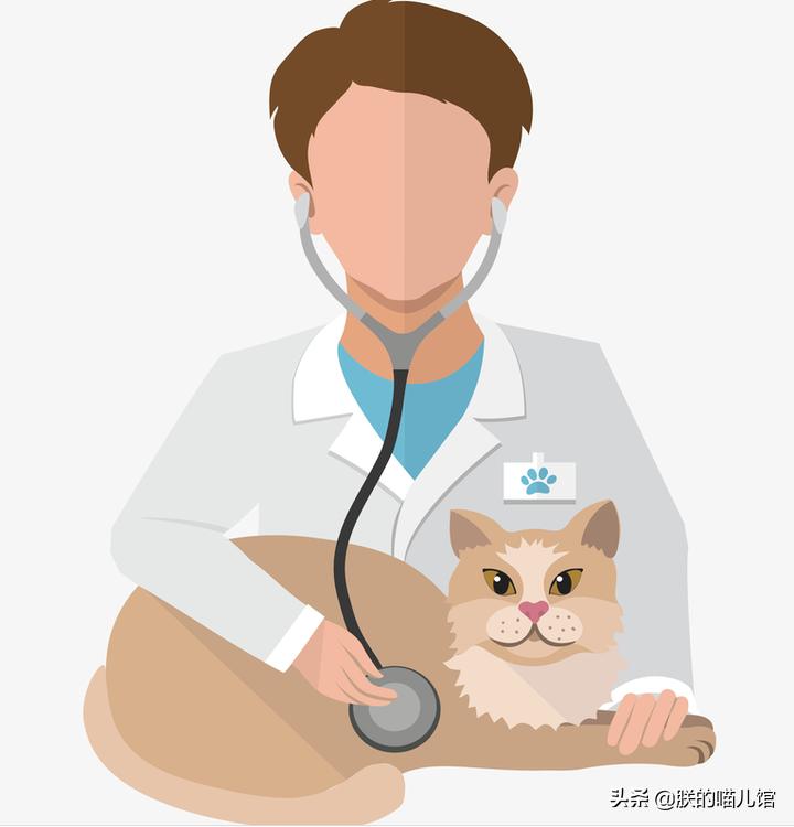 舒化牛奶猫可以喝吗,人喝的牛奶猫能喝吗