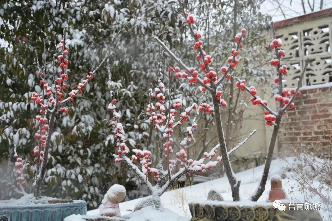 莒南自驾游免费景点大全图片,莒南春季游玩好去处推荐