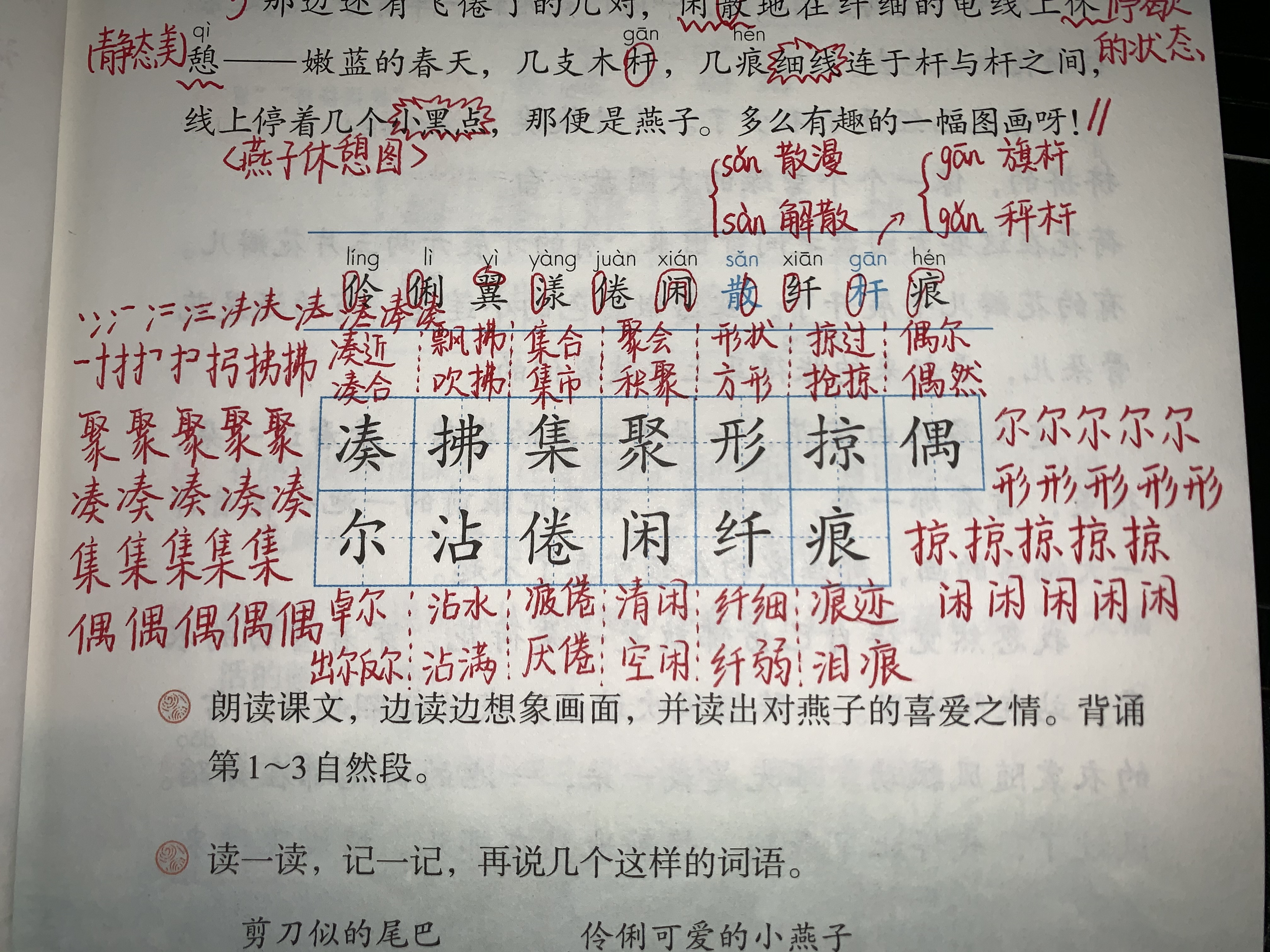 三年级语文燕子复习,三年级语文下册燕子老师整理笔记