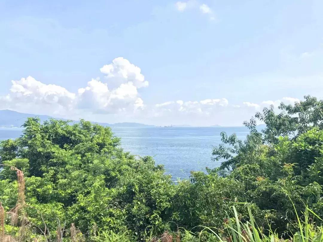 深圳海滩除了大小梅沙还有哪些,深圳大梅沙海滩游玩攻略