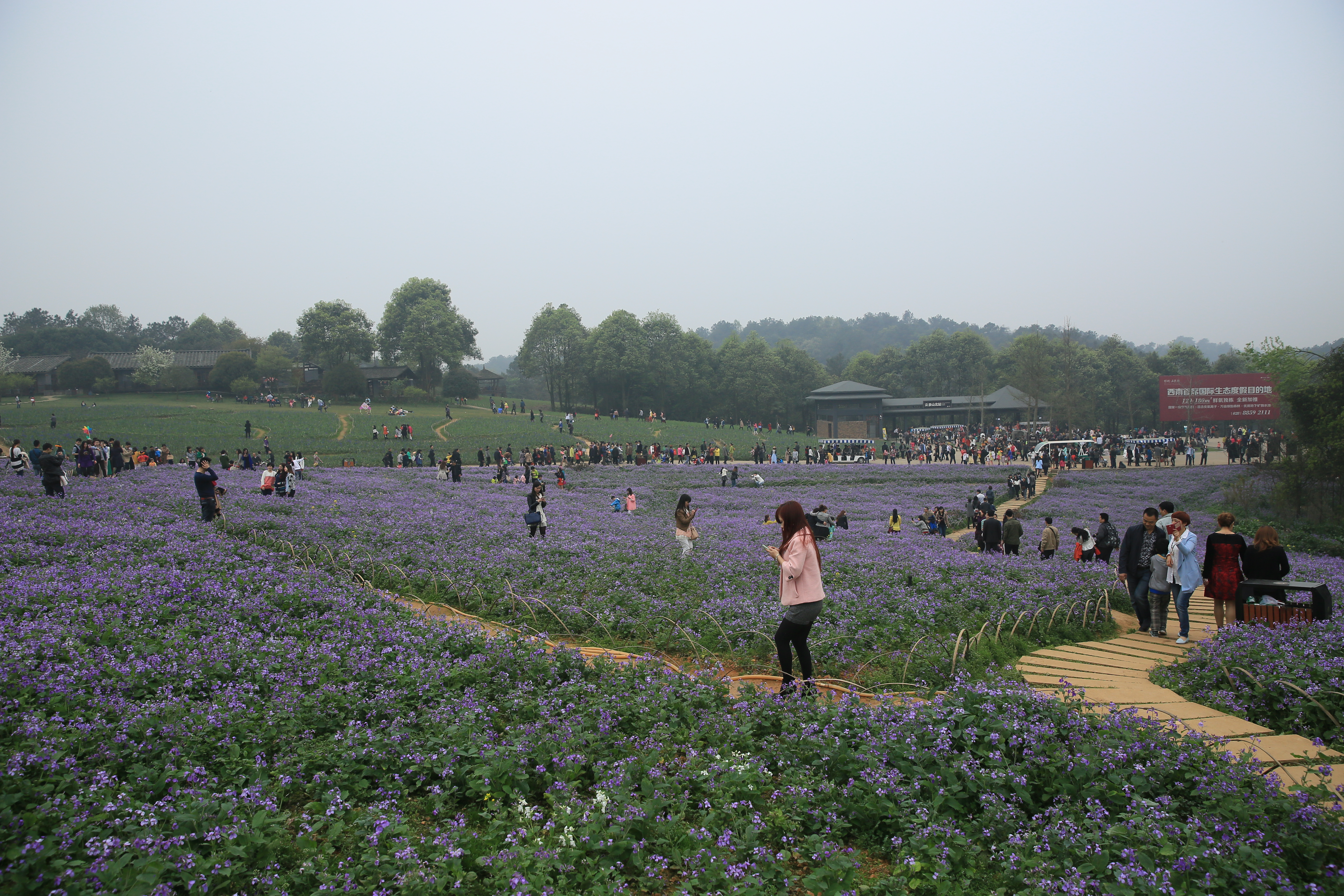 钂叉睙鐭宠薄婀栧ソ鐜╀笉,钂叉睙鐭宠薄婀栧ソ鑰嶅悧