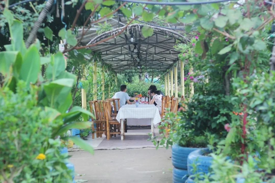 长沙生态农庄野炊采摘,长沙岳麓区垂钓农家乐