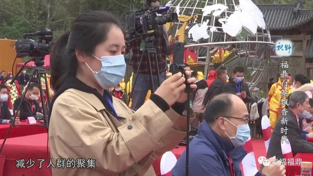 福鼎白茶兴起,白茶步入产业振兴快车道