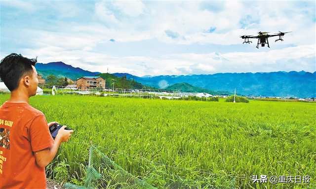 鍐滃満杞瀷缁忚惀妯″紡,鍐滀笟铦跺彉鍐滃満鎼嚎涓婅交鏉惧綋鍐滄皯