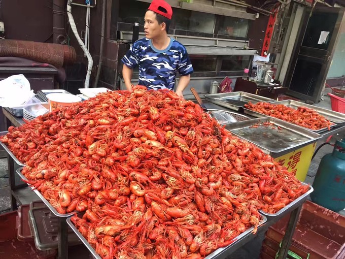 长沙去张家界三日游报价,长沙到乌镇三日自由行攻略