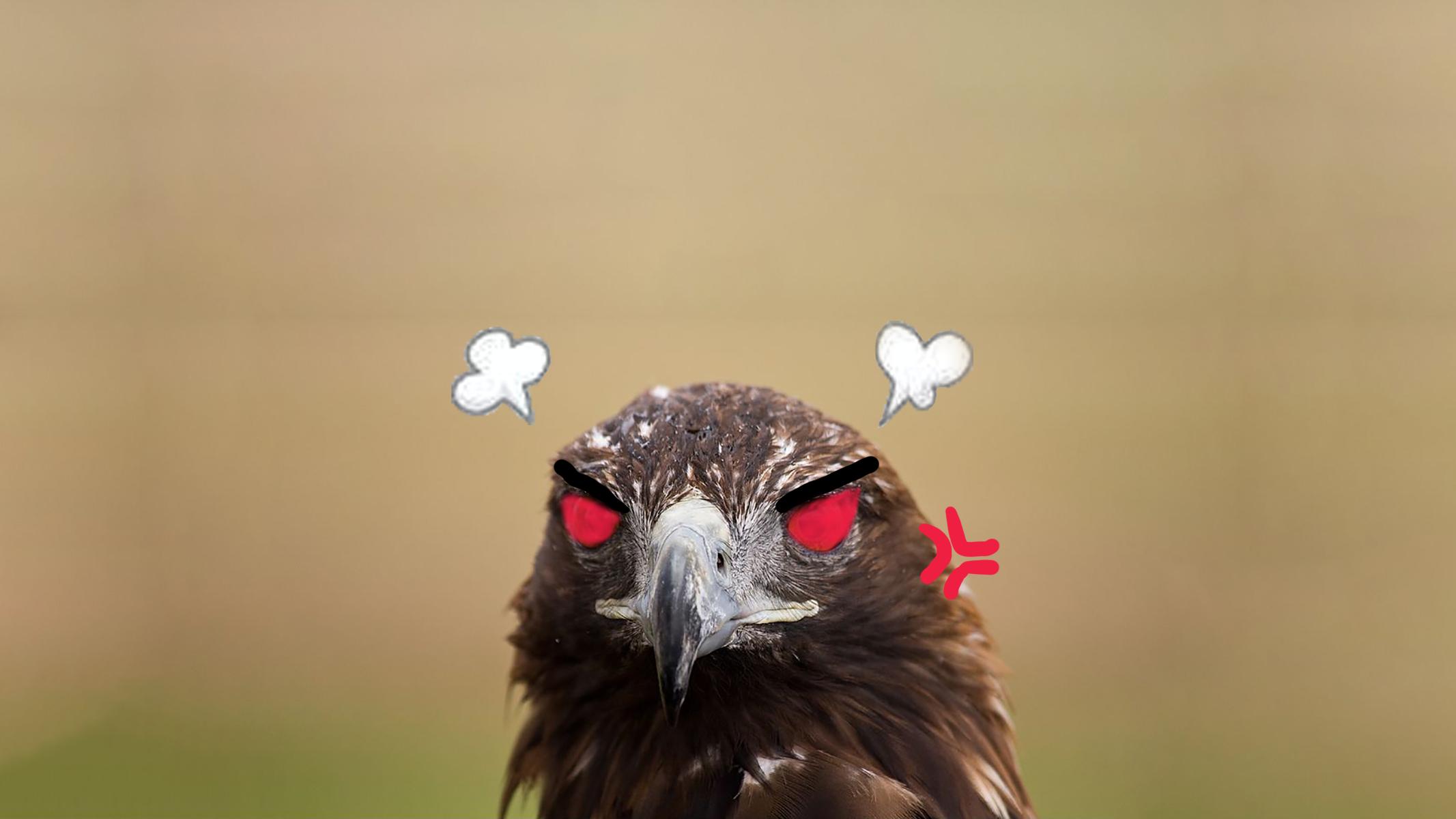 人的眼睛在动物界的水平,人的视力在动物界排名