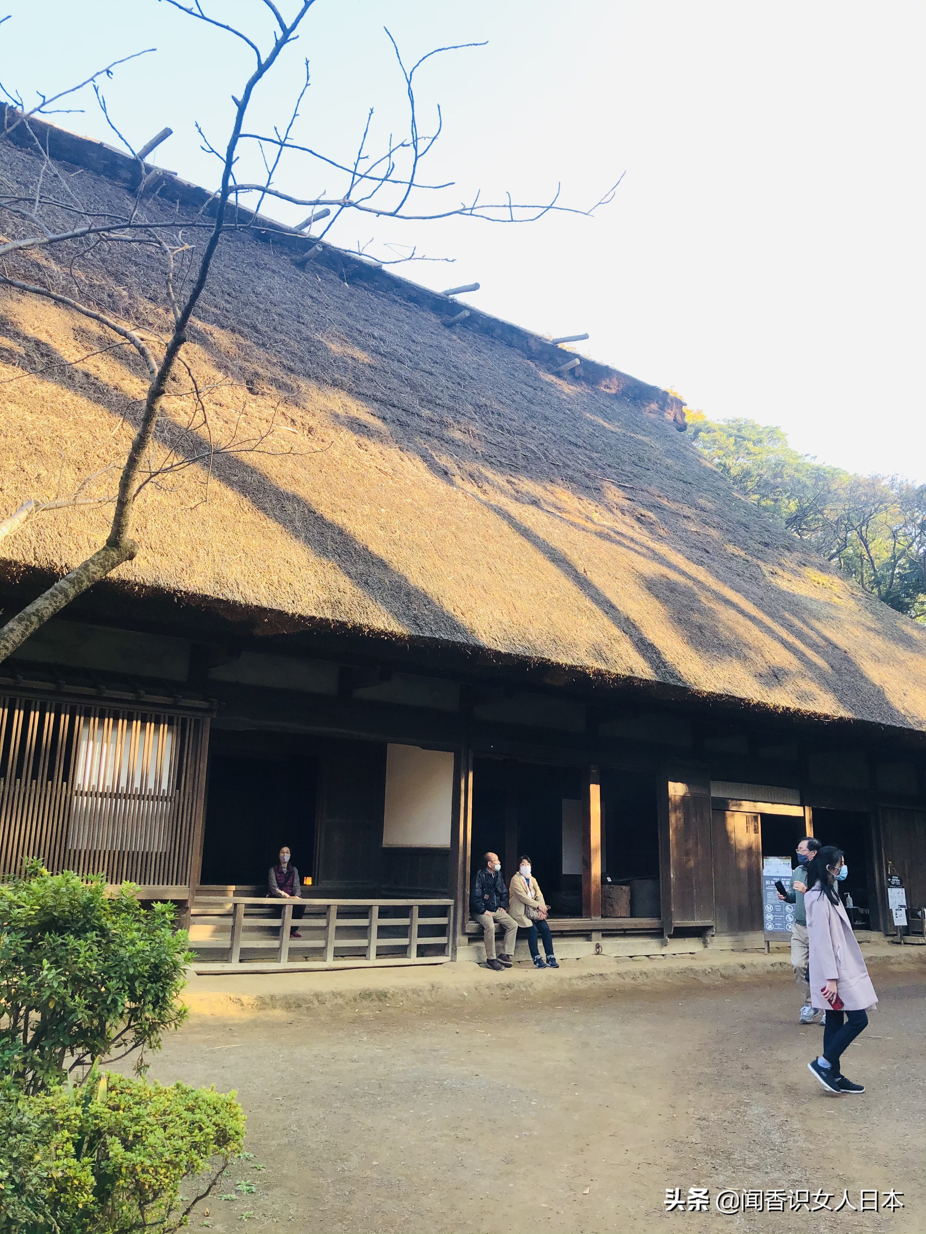 横滨三溪园,横滨三溪园介绍