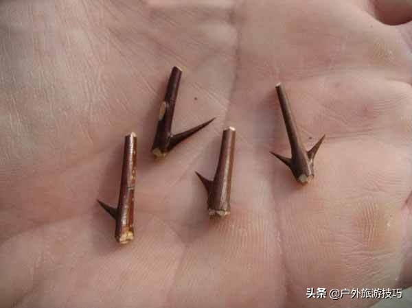 6-12岁自制鱼钩的方法,荒野求生野外自制鱼钩简单的方法