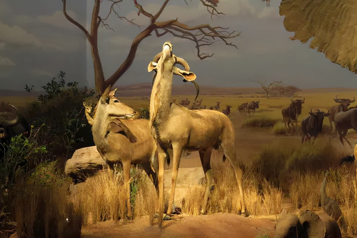 济南遛娃室内去哪里玩,济南遛娃好玩的地方