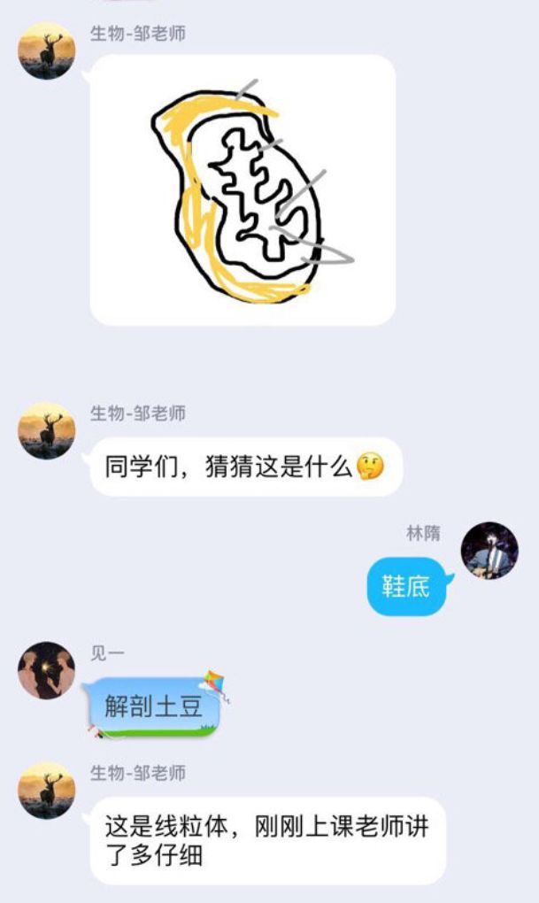 小学生们血泪控诉，QQ今天崩了吗？