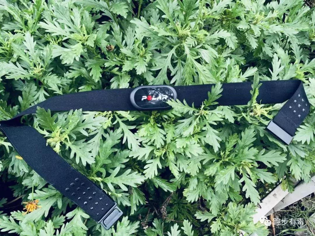 都说跑步是最省钱的运动,都说跑步是最省钱的