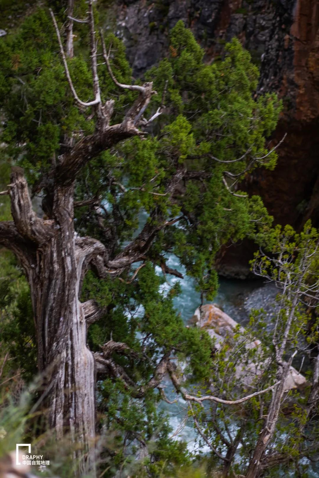 青海发现大规模罕见地貌奇观,青海现七彩流沙奇观