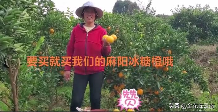 临近年关吃东西容易上火，就让这款小甜橙拯救一下