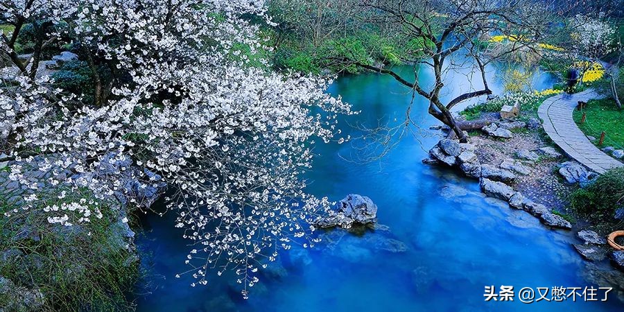 别再花冤枉钱赚钱不容易,旅游中的这些坑您得擦亮眼睛