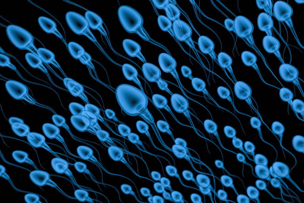 一滴精=十滴血，“精尽人亡”会发生吗？建议男女都了解清楚