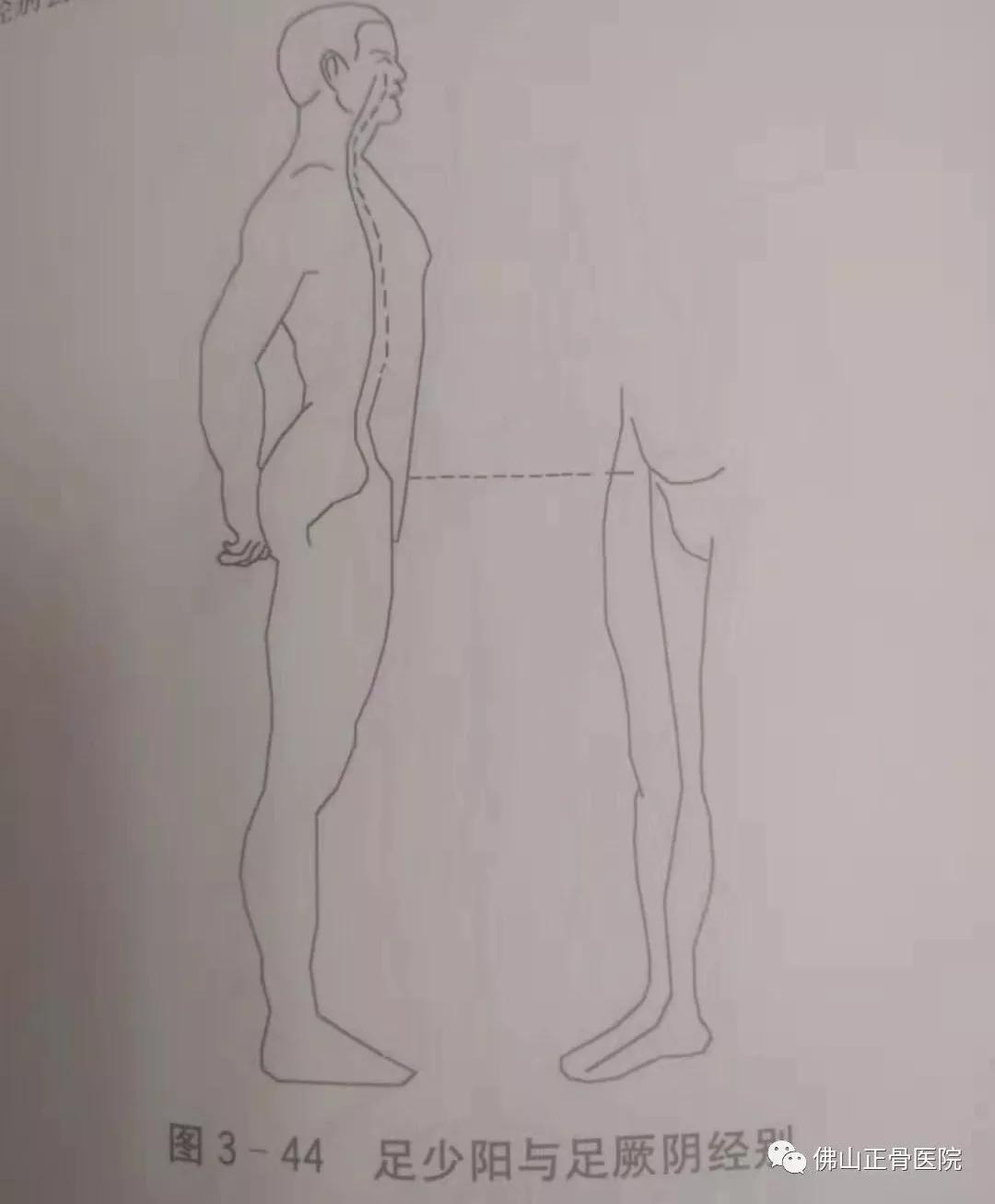 经筋手法，我院名誉院长国医大师韦贵康《韦氏骨伤手法集成》