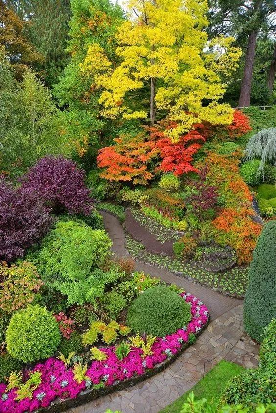 布查德花园的秋冬季,全球最美花园布查特花园