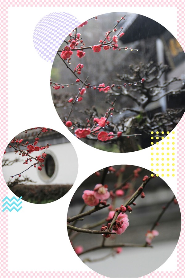 根博园根雕,根宫佛国根雕视频