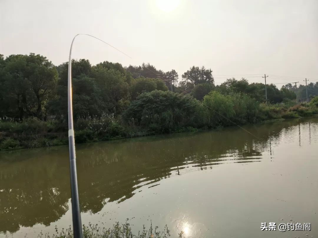 多少尺寸的鱼竿最好用,鱼竿有一节长短不一样影响竿子吗