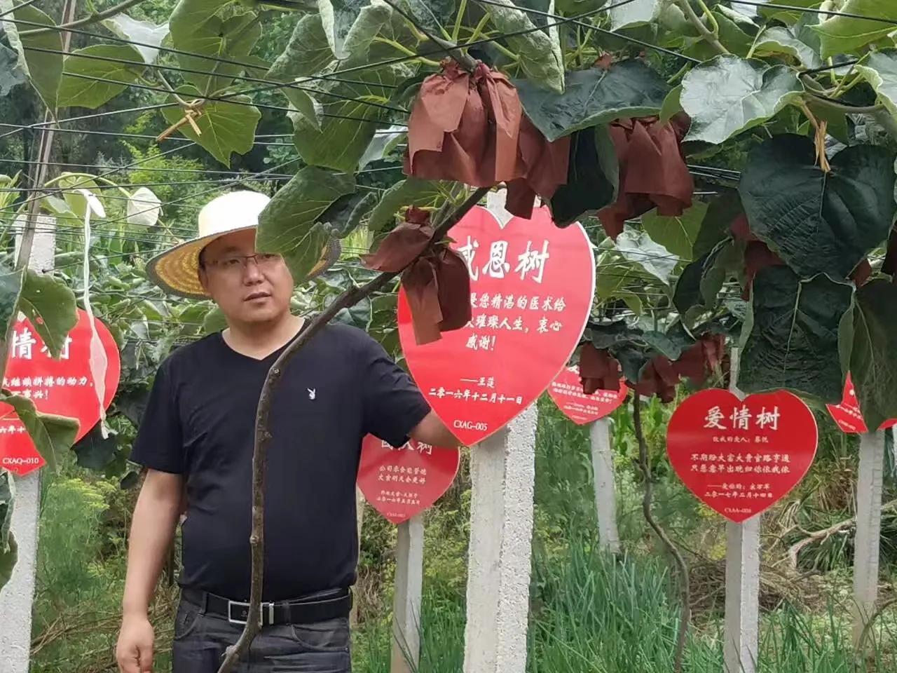 农民土地入股合作社的合作模式,土地种植入股经营合作方案