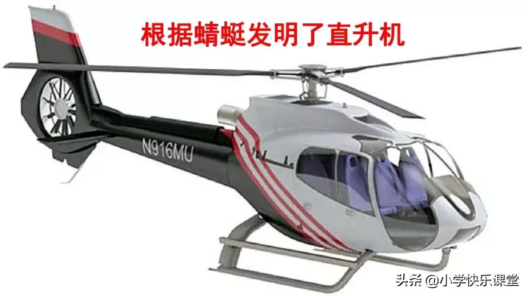四年级上册语文蝙蝠和雷达课后题,部编版四年级上册语文蝙蝠和雷达