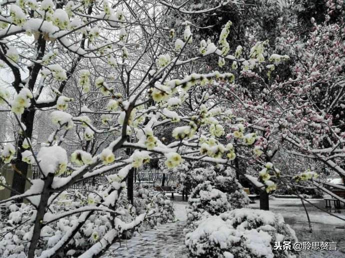 古今诗词里有哪些咏雪的诗句,十首最美咏雪诗词