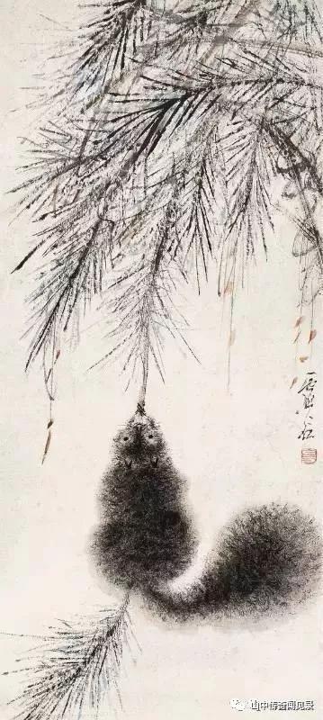 山间偶遇松鼠,巨大松鼠野生动物