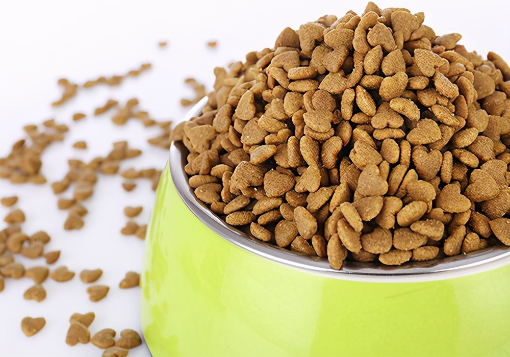 饲养的狗狗不爱吃饭是怎么回事,养宠知识我家狗狗不吃饭怎么办