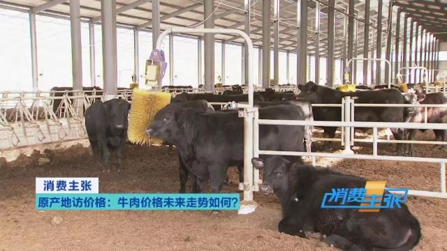 牛肉批发价最新价格,牛肉价格补贴最新消息