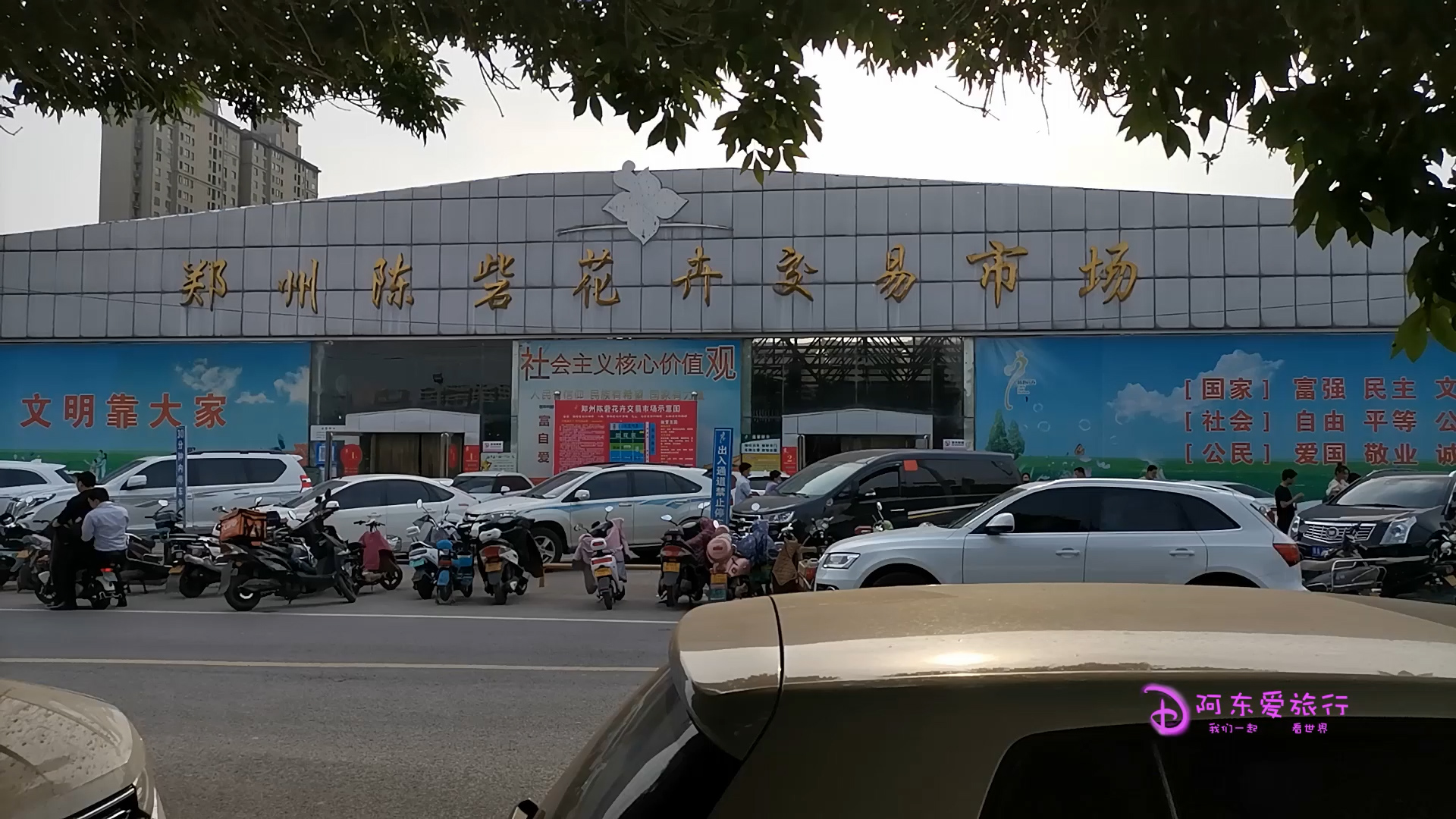 郑州陈砦花卉市场搬迁最新消息,郑州陈砦花卉市场多肉批发