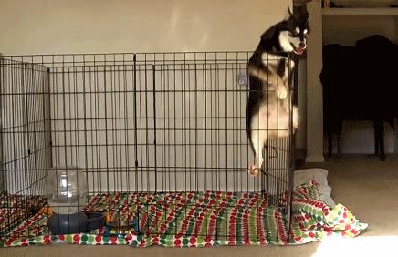 边缘计算通俗易懂解释,一分钟带你了解什么是边缘计算