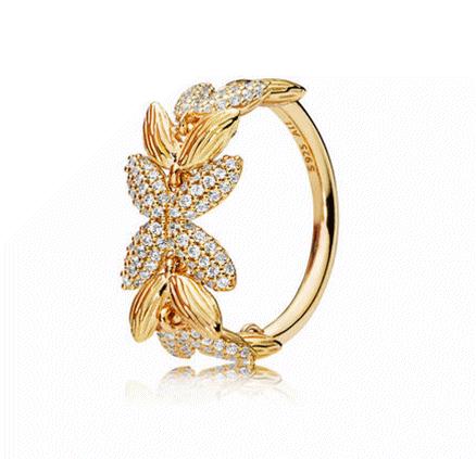 娆ф床浜虹埍榛勯噾,娆ф床浜虹埍涓浗浜у搧