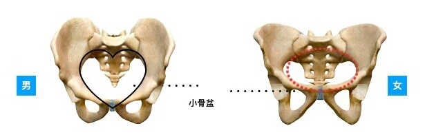 如何消除假髋,怎样纠正假髋宽