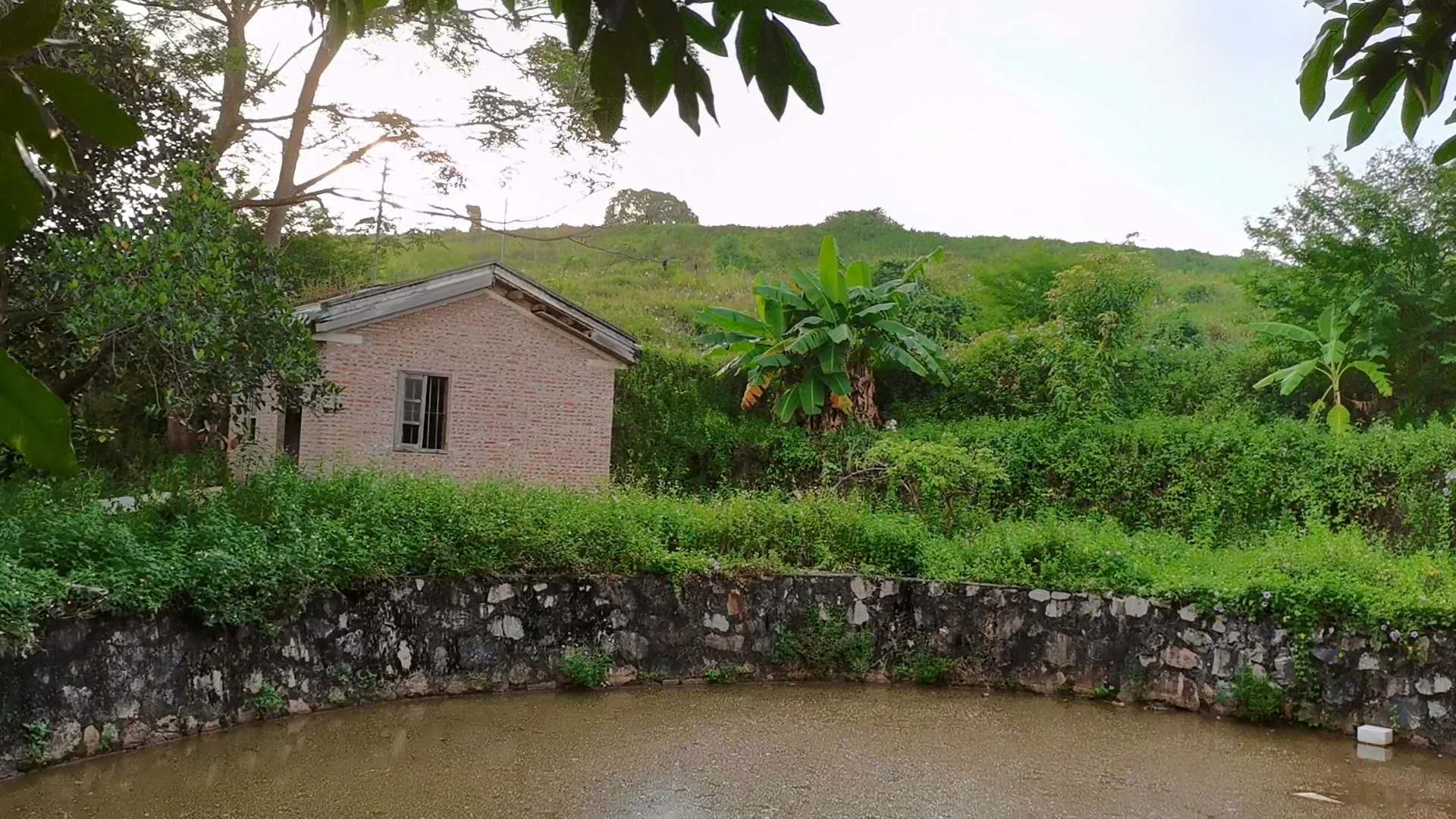 钓甲鱼方法不要太简单,钓甲鱼的五个实用技巧
