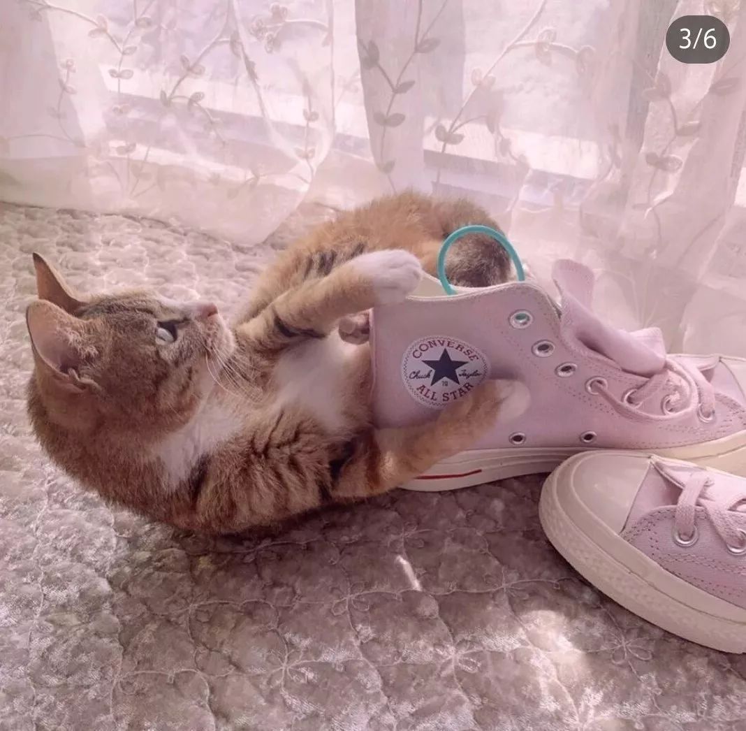 特别显腿长的匡威穿搭,腿短腿粗怎么穿匡威