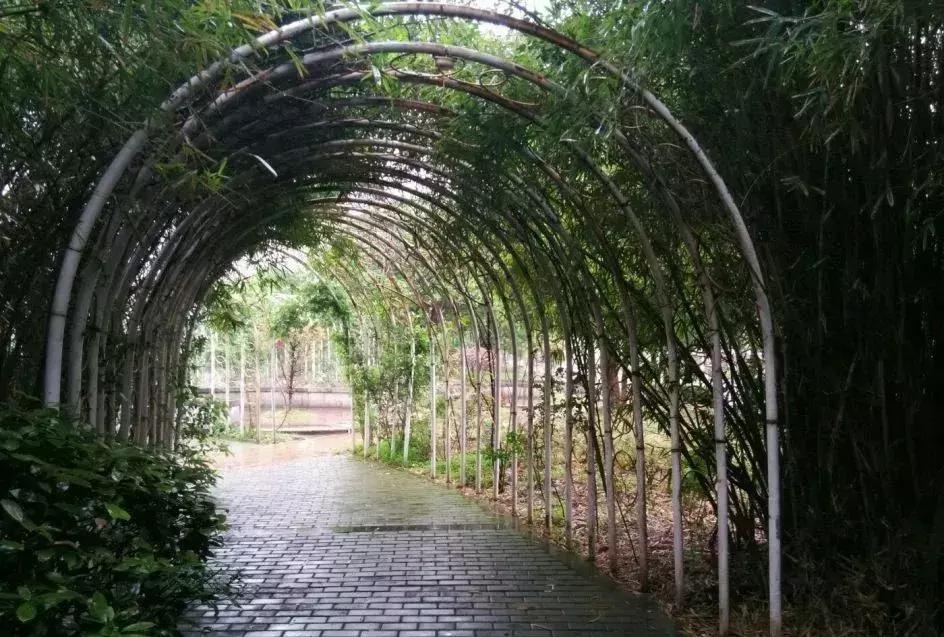 南昌附近一日游的景点有哪些,南昌旅游景点推荐一日游