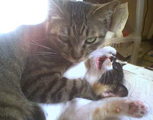 台达运动控制器新手入门,台达运动控制系统实时更改位置