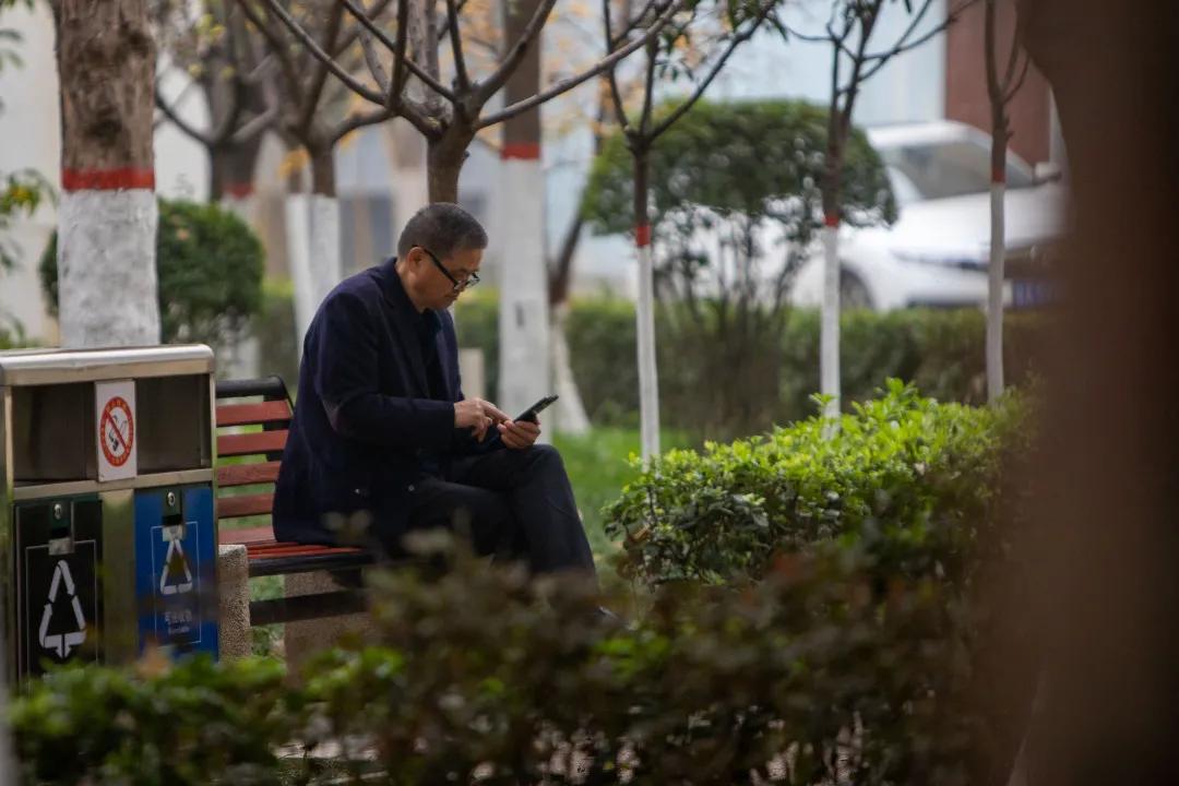 莲湖区晚上哪里可以散步,莲湖晨练